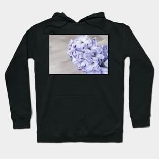 Blue hyacinth flower on cement background Hoodie